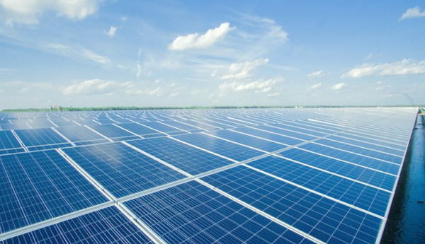 Tấm pin năng lượng mặt trời chính hãng