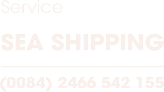 0084 2466 542 155 - Home